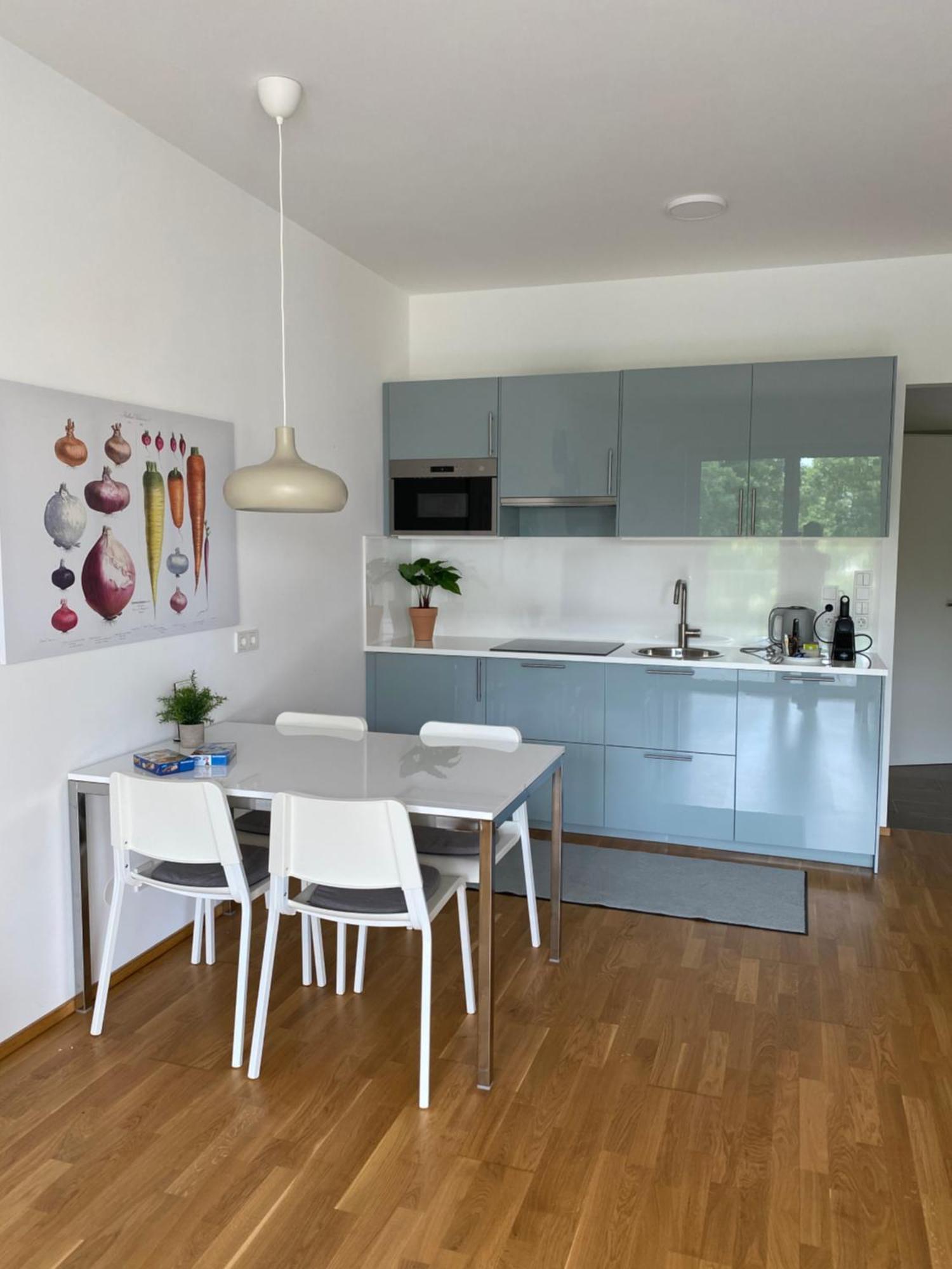 Ebelsberger Terrassen Apartment Linz Exterior photo